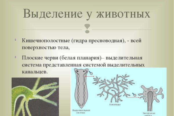 Кракен браузер