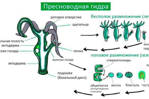 Ссылка на кракен в тор