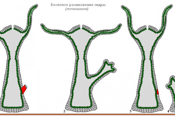 Легал рс