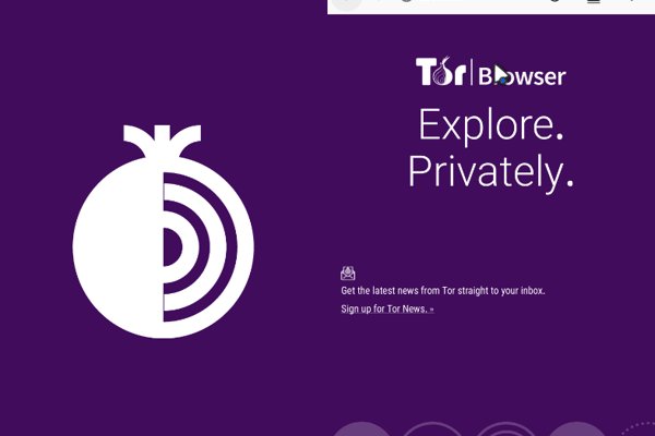 Кракен вход kraken2planet