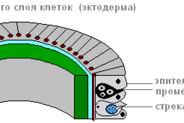 Как зайти на кракен через тор браузер