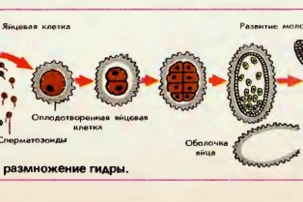 Кракен даркент