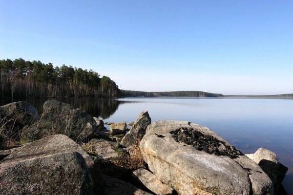 Кракен наркокортель