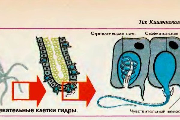 Кракен маркерлейс оф вход